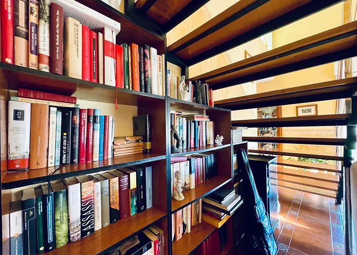 O Souto De Monteasnal Casa de Férias *